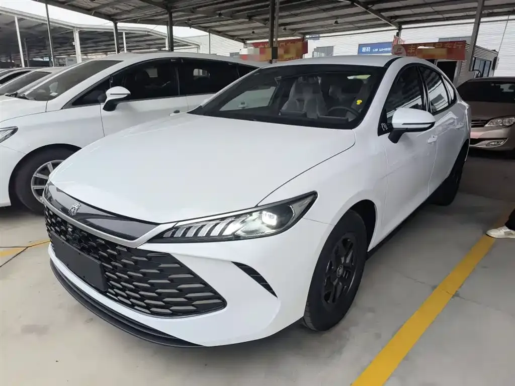BYD Qin PLUS — фото 1