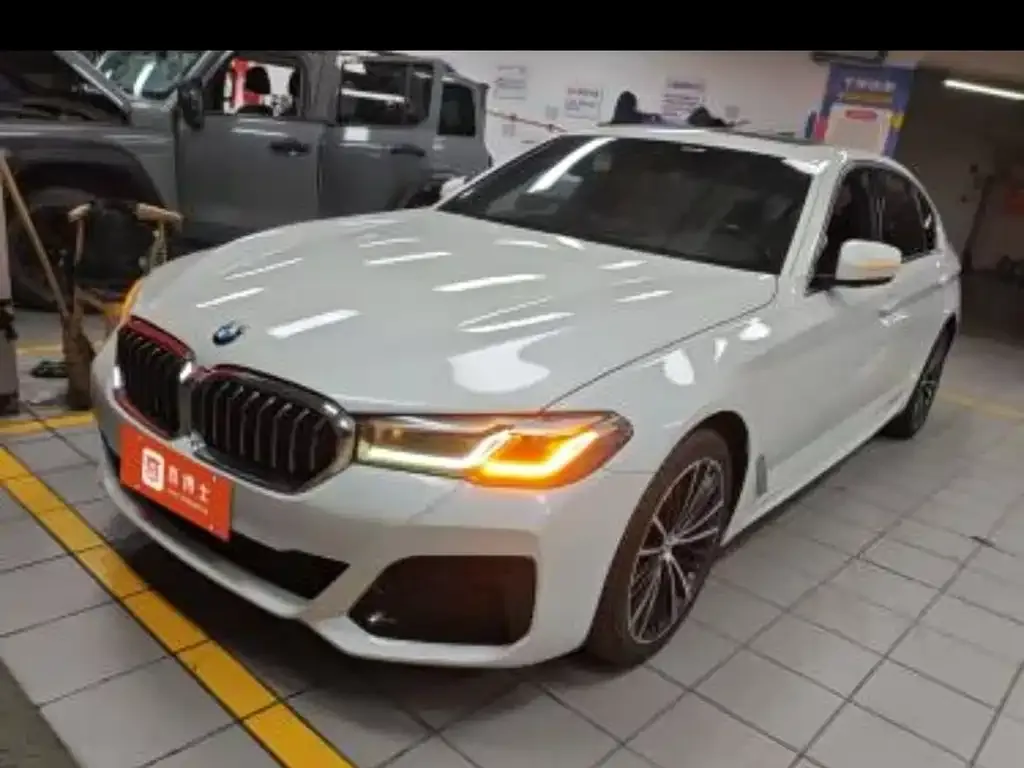 BMW 5 Series 2021 из CN, фото 1