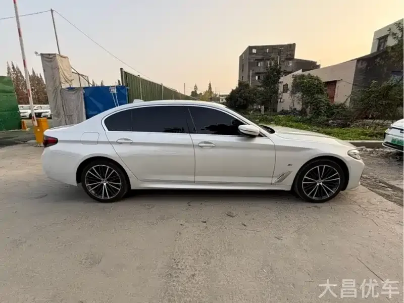 BMW 5 Series 2021 из CN, фото 3