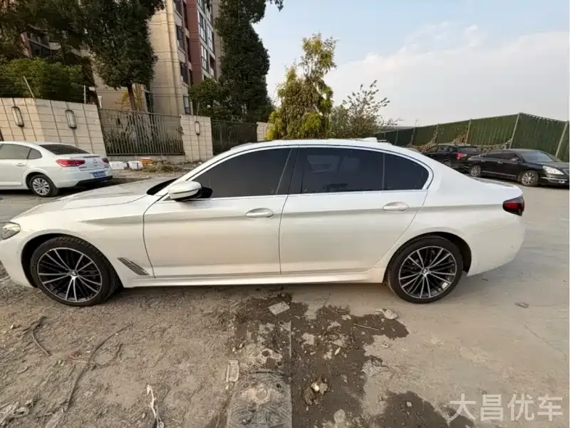 BMW 5 Series 2021 из CN, фото 4