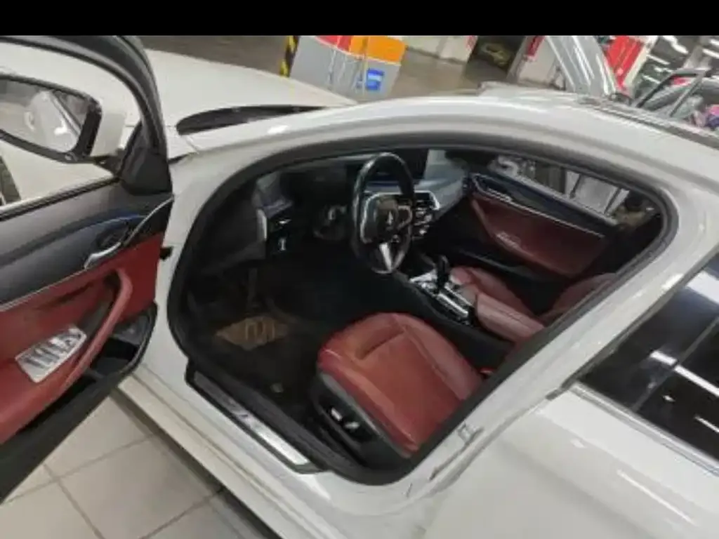 BMW 5 Series 2021 из CN, фото 5