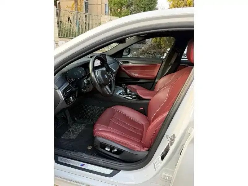 BMW 5 Series 2021 из CN, фото 6
