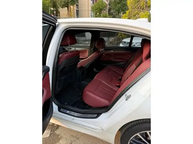 BMW 5 Series 2021 из CN, фото 7