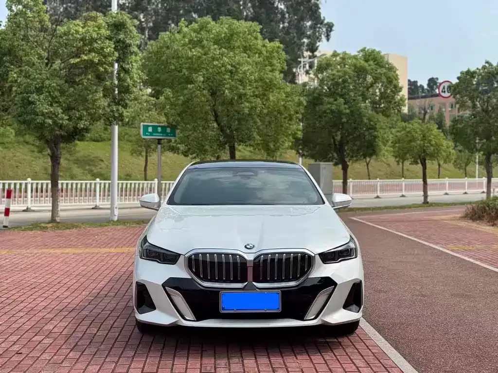 BMW 5 Series 2024 из CN, фото 2