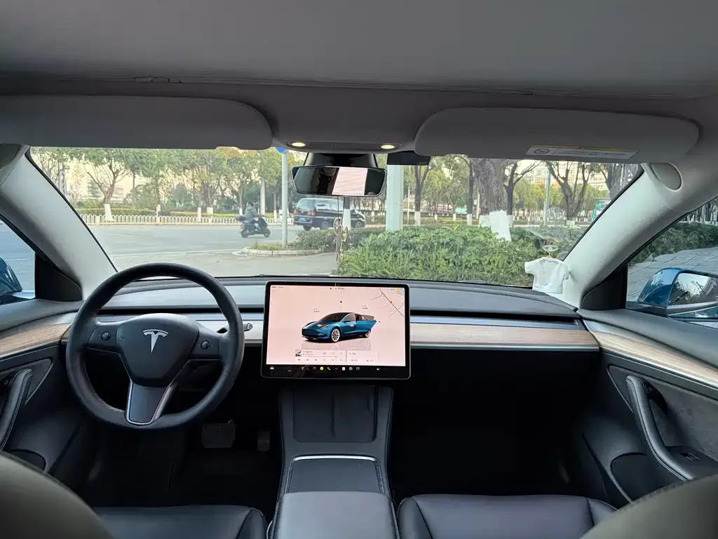 Tesla Model 3 2022 из CN, фото 10