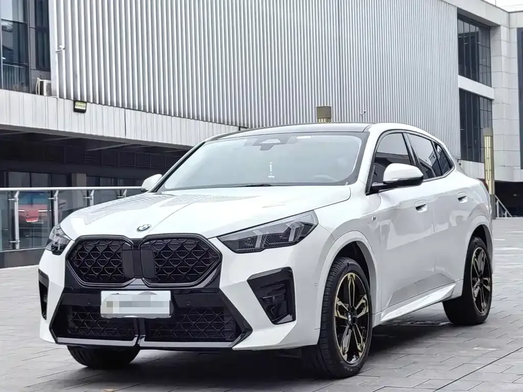 BMW X2 (Import) 2024 из CN, фото 1