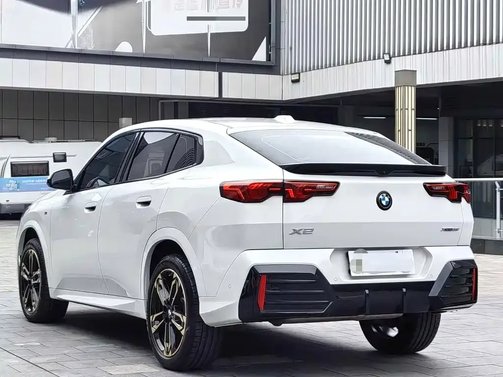 BMW X2 (Import) 2024 из CN, фото 10