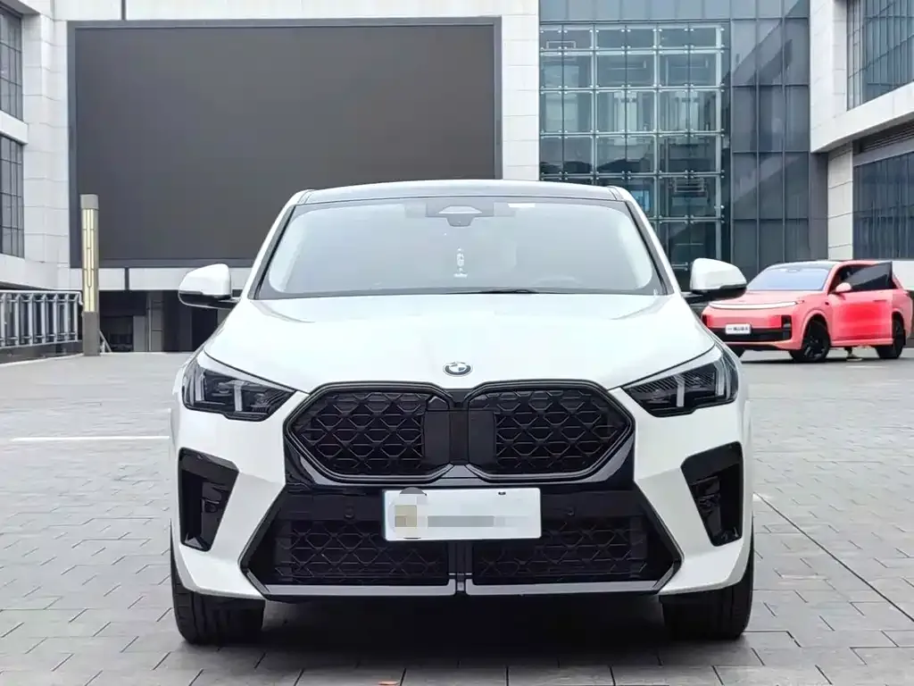 BMW X2 (Import) 2024 из CN, фото 2