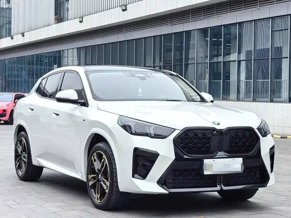 BMW X2 (Import) 2024 из CN, фото 3