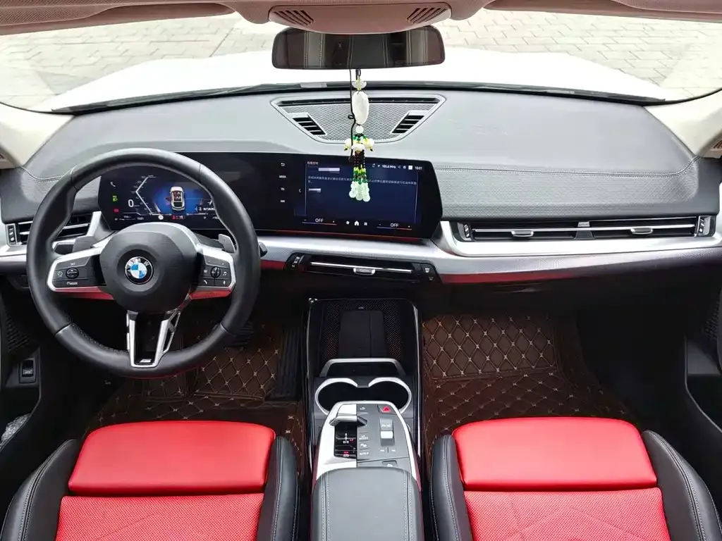BMW X2 (Import) 2024 из CN, фото 6