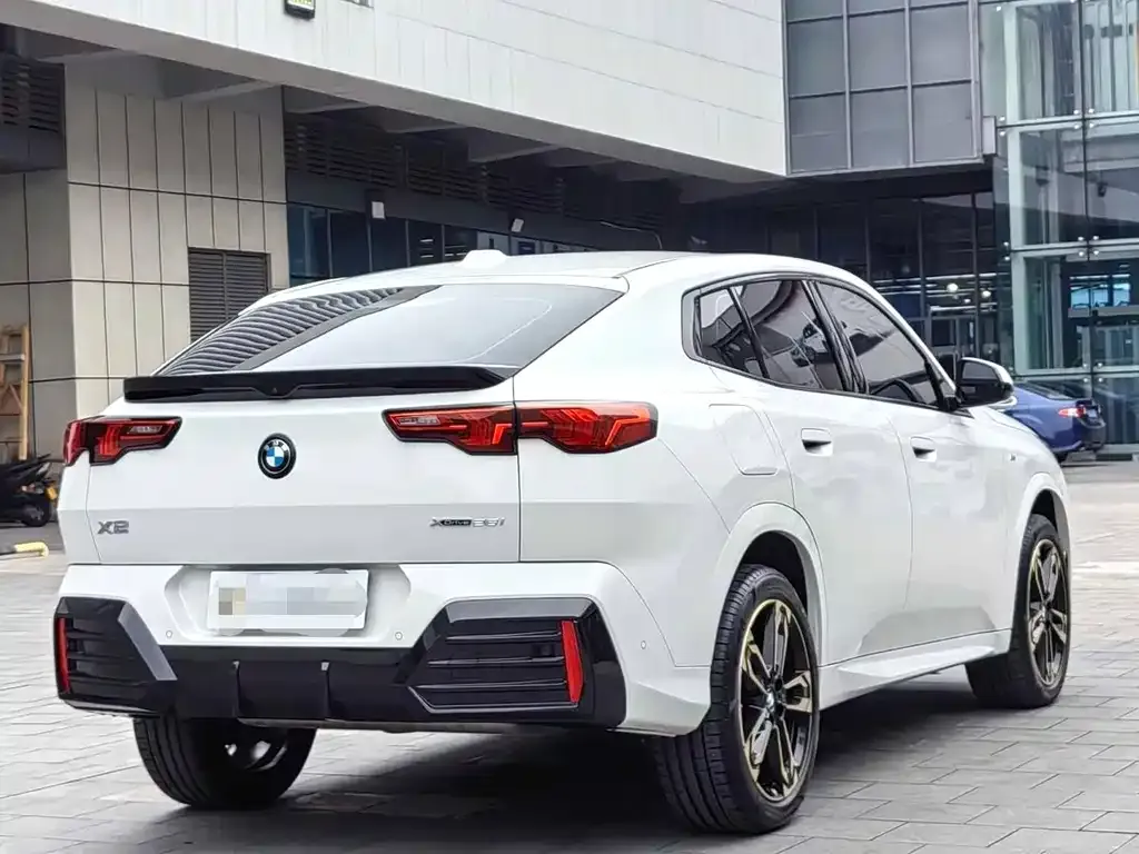 BMW X2 (Import) 2024 из CN, фото 8