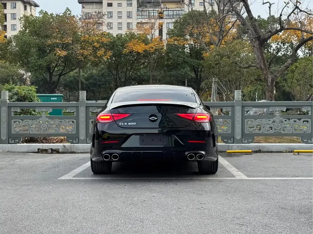 Mercedes-Benz CLS 2022 из CN, фото 5