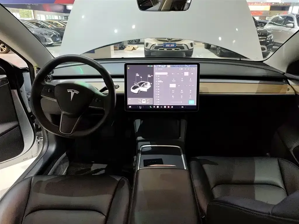 Tesla Model 3 2021 из CN, фото 10
