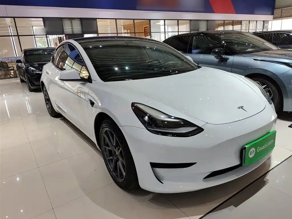 Tesla Model 3 2021 из CN, фото 4