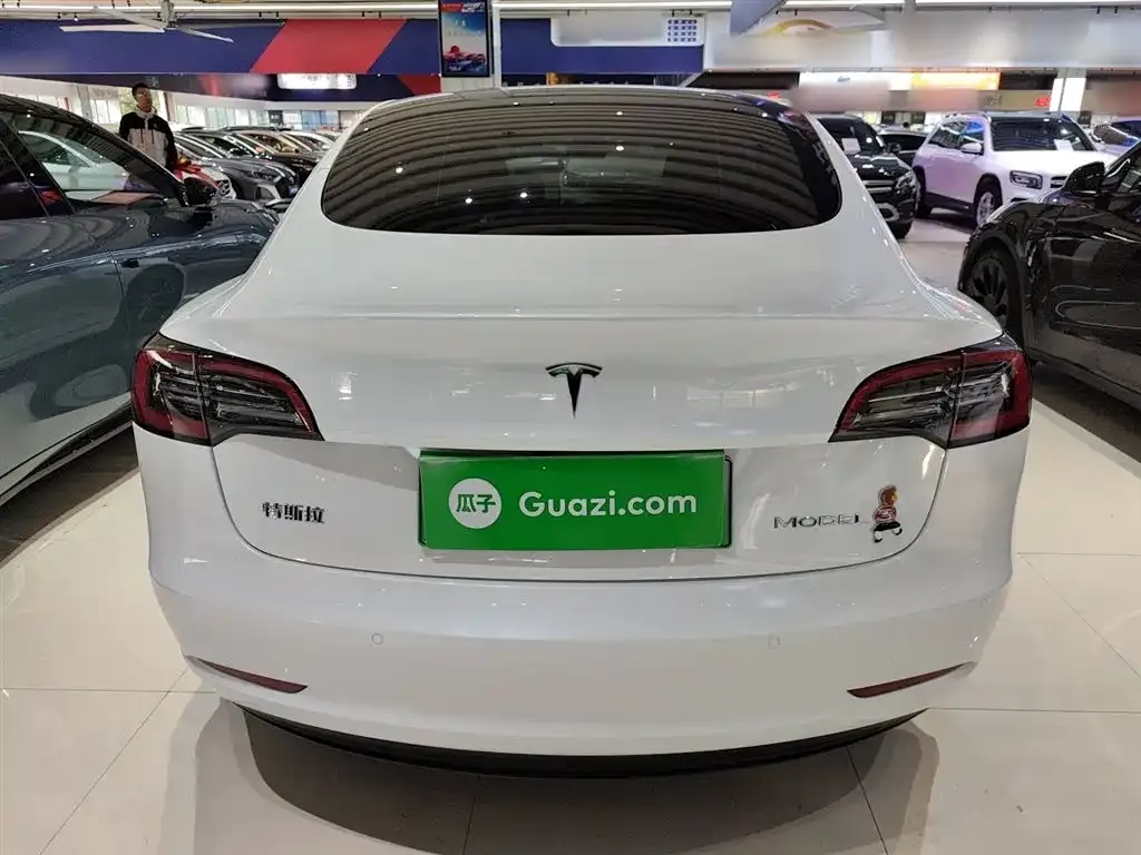 Tesla Model 3 2021 из CN, фото 6