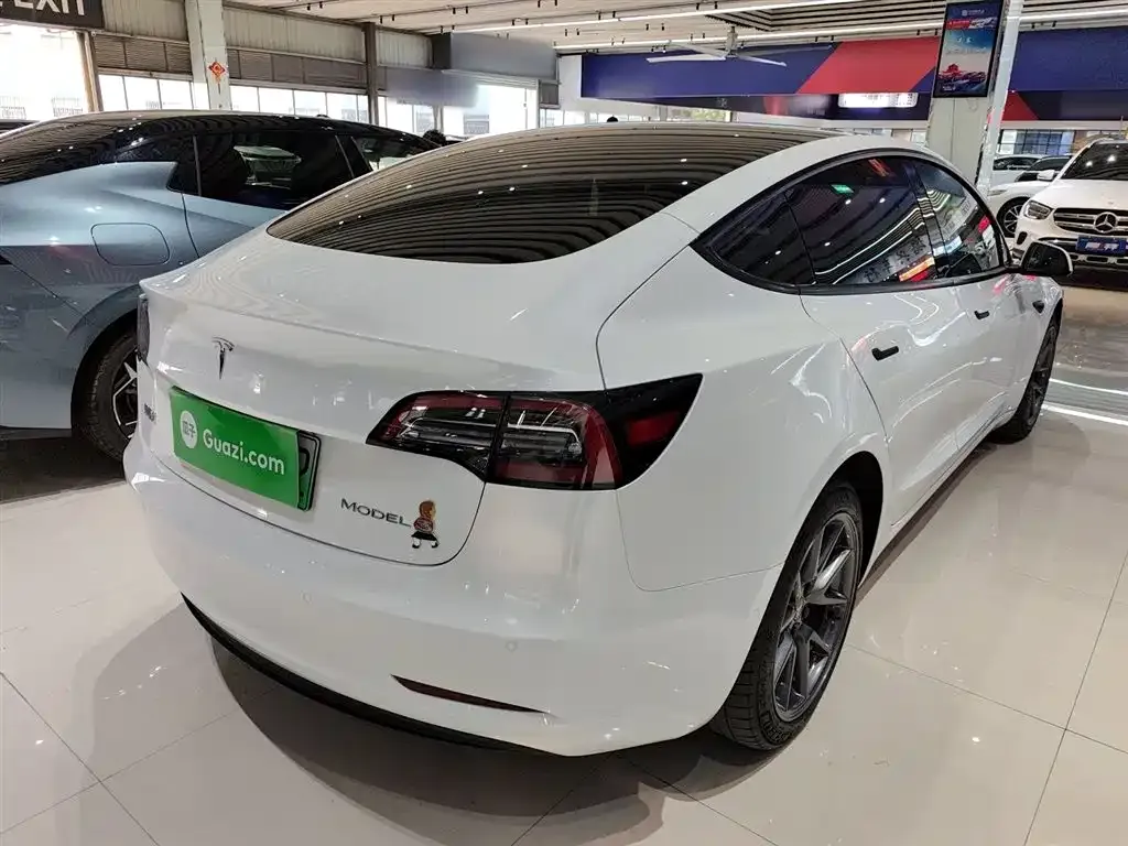 Tesla Model 3 2021 из CN, фото 7
