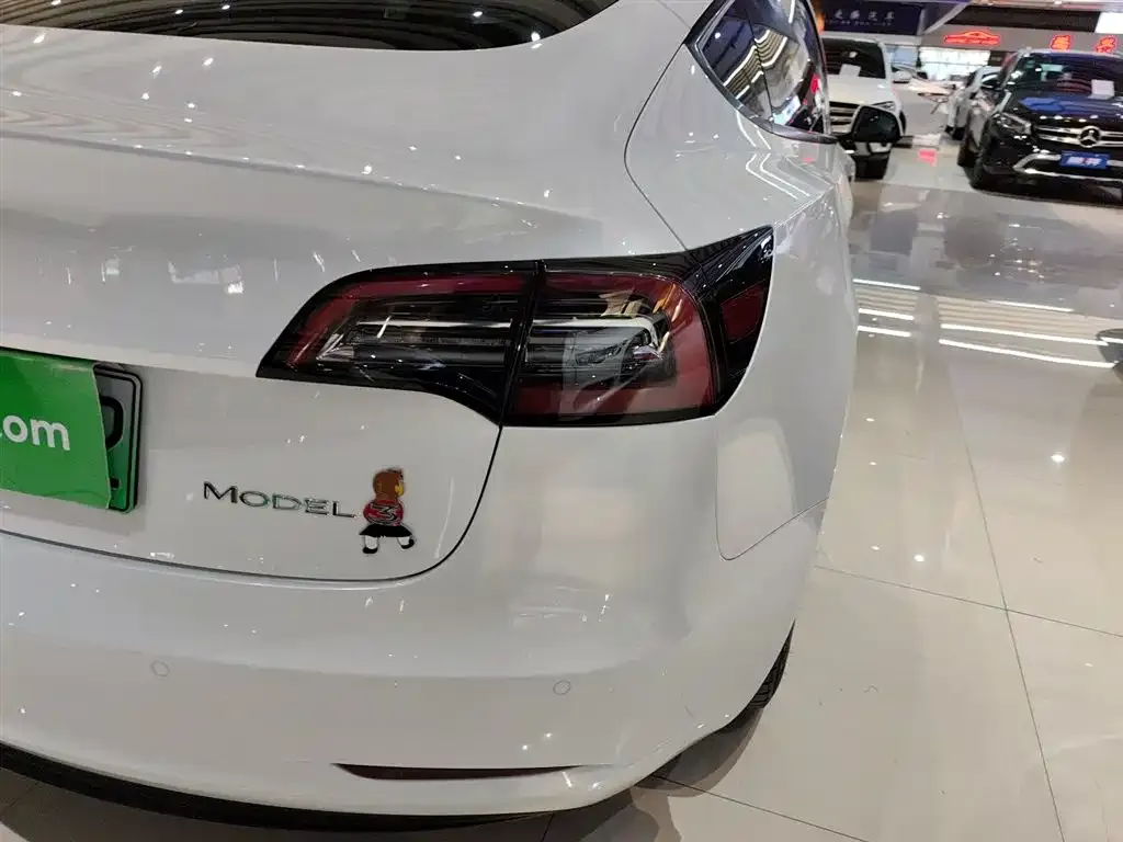 Tesla Model 3 2021 из CN, фото 8