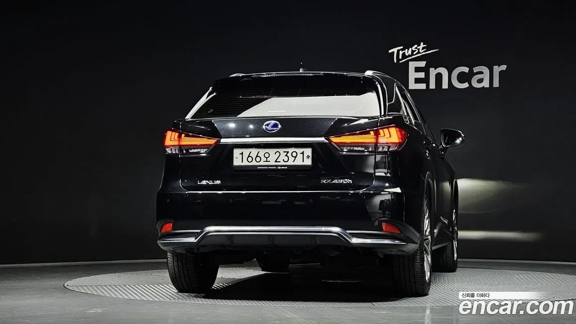 Lexus RX 2022 из KR, фото 4
