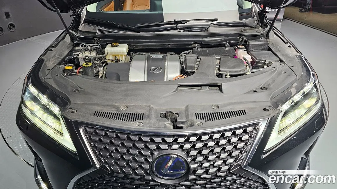Lexus RX 2022 из KR, фото 6