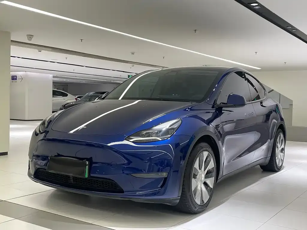 Tesla Model Y 2021 из CN, фото 1