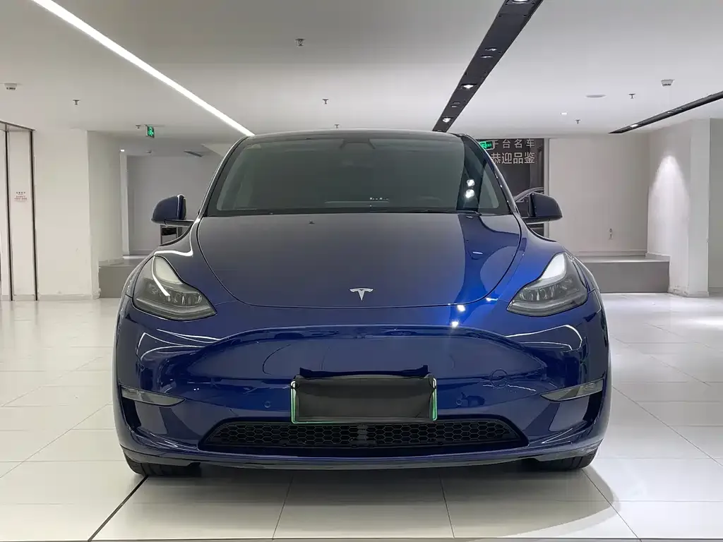 Tesla Model Y 2021 из CN, фото 2