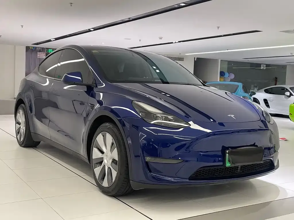 Tesla Model Y 2021 из CN, фото 3