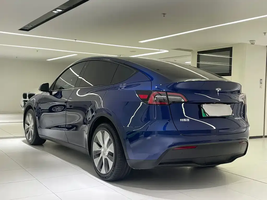 Tesla Model Y 2021 из CN, фото 4