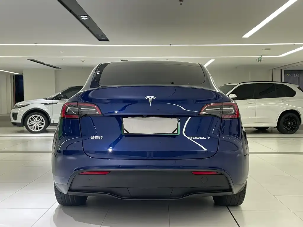 Tesla Model Y 2021 из CN, фото 5