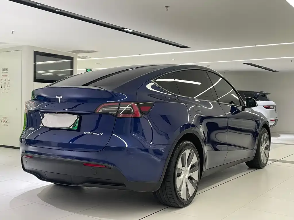 Tesla Model Y 2021 из CN, фото 6