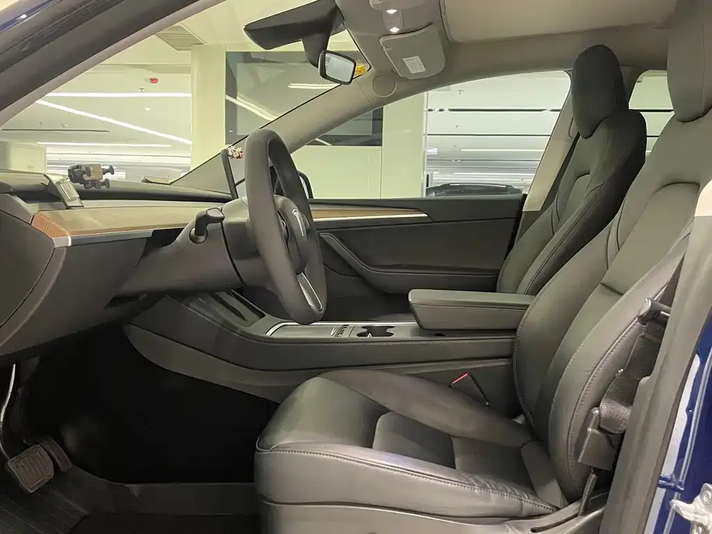 Tesla Model Y 2021 из CN, фото 7