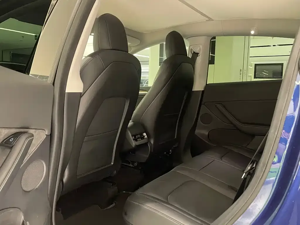 Tesla Model Y 2021 из CN, фото 8