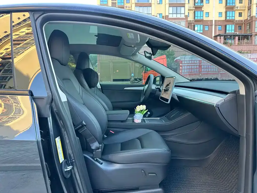 Tesla Model Y — фото 10