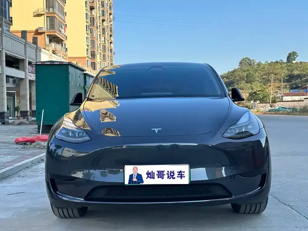 Tesla Model Y — фото 2
