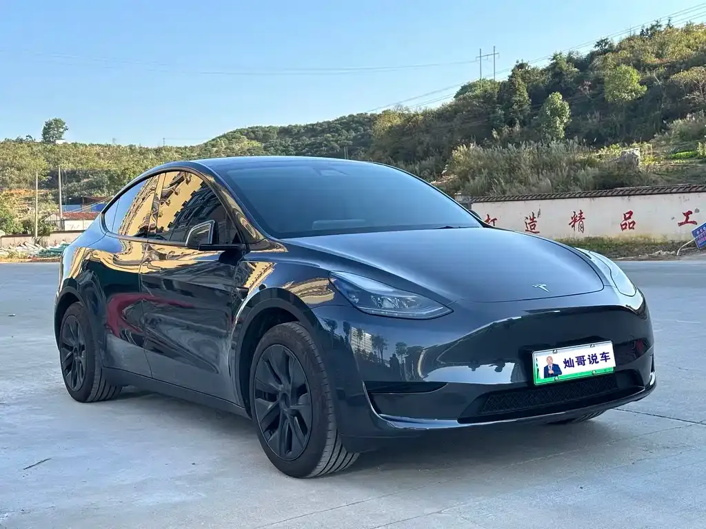 Tesla Model Y — фото 3