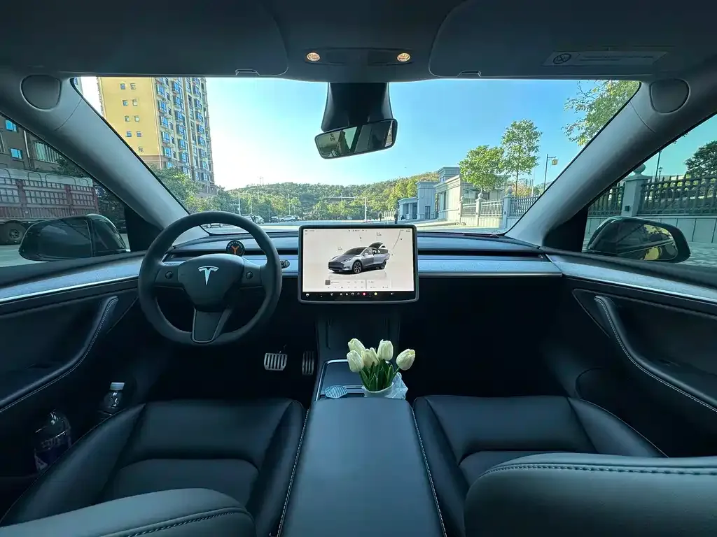 Tesla Model Y — фото 9
