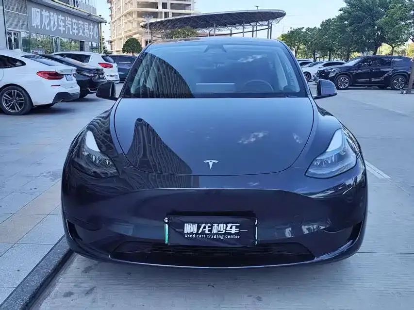 Tesla Model Y — фото 3