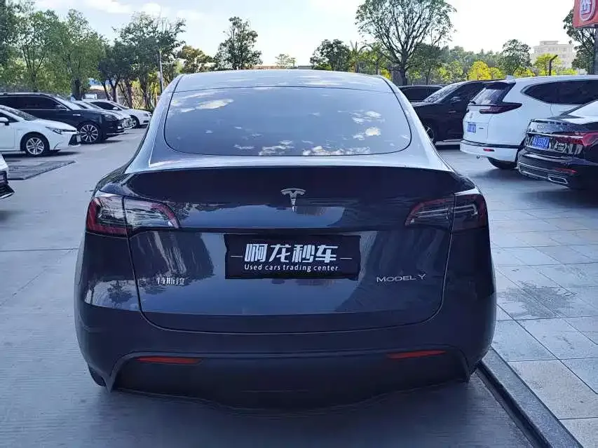 Tesla Model Y — фото 9