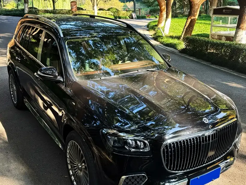 Mercedes-Benz GLS 2023 из CN, фото 1