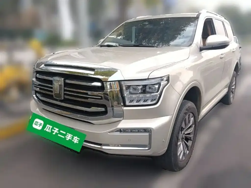 Tank 500 New Energy 2024 из CN, фото 2
