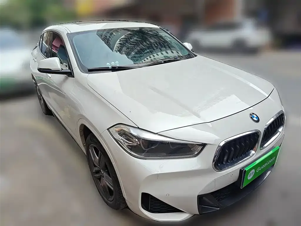 BMW X2 2021 из CN, фото 4