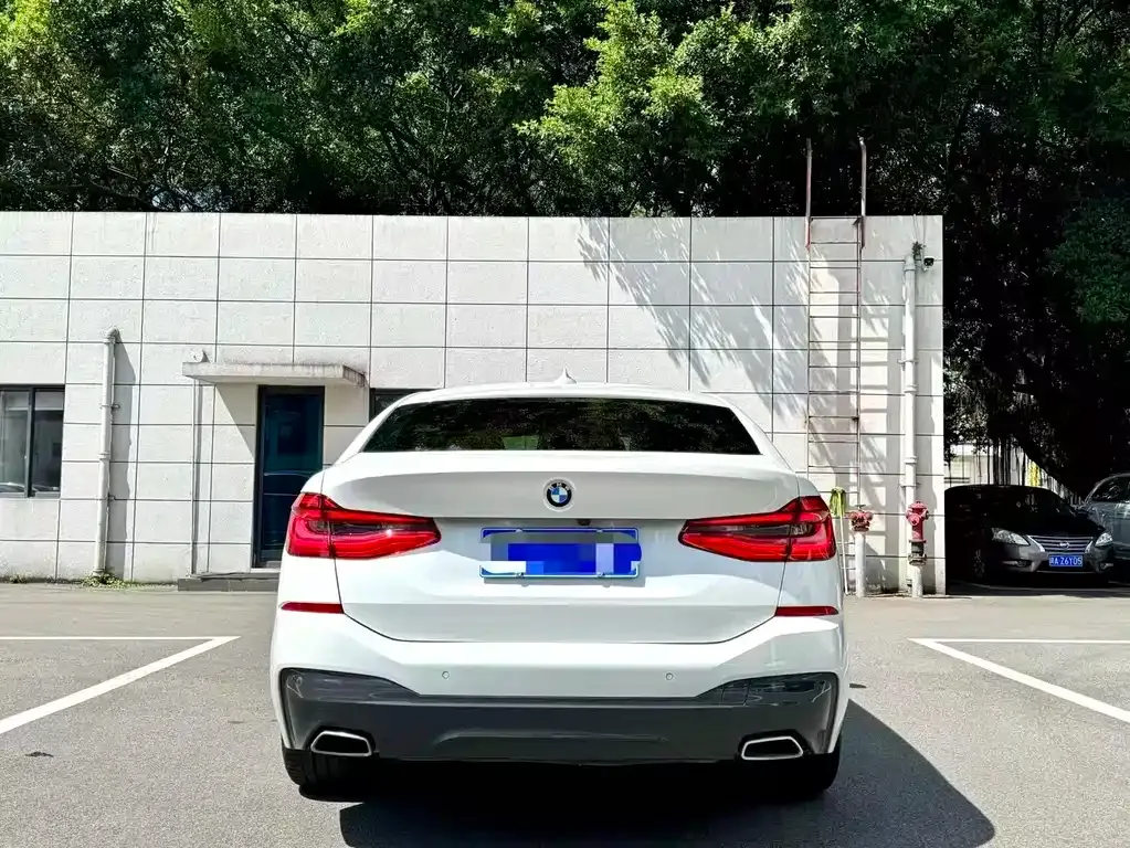 BMW 6 Series GT 2024 из CN, фото 4