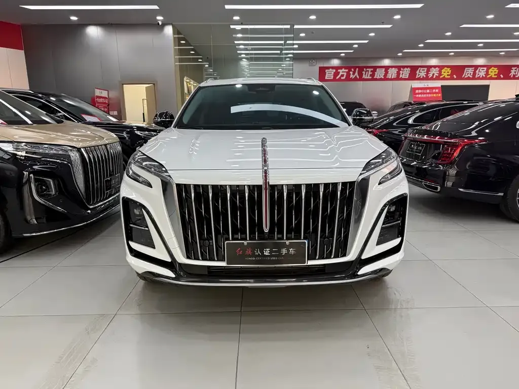 Hongqi HS3 PHEV 2024 из CN, фото 2