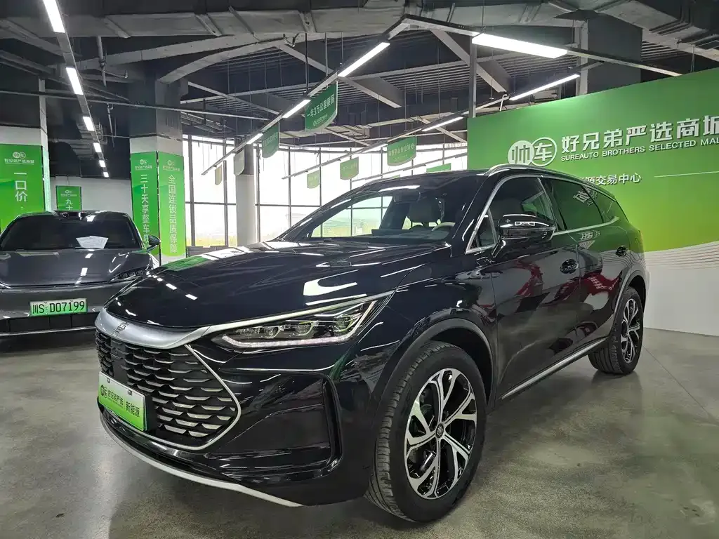 BYD Tang New Energy 2024 из CN, фото 1