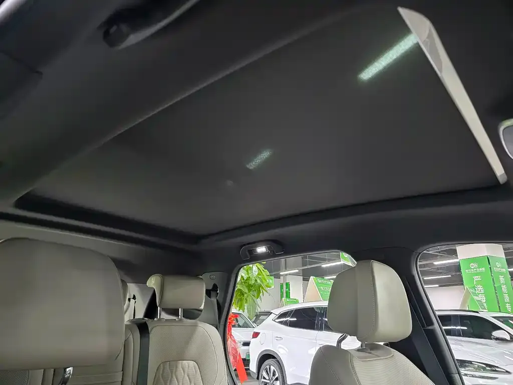 BYD Tang New Energy 2024 из CN, фото 10