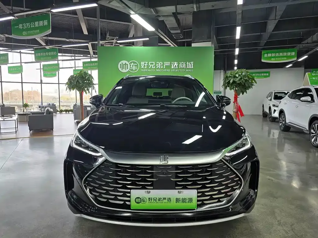 BYD Tang New Energy 2024 из CN, фото 2