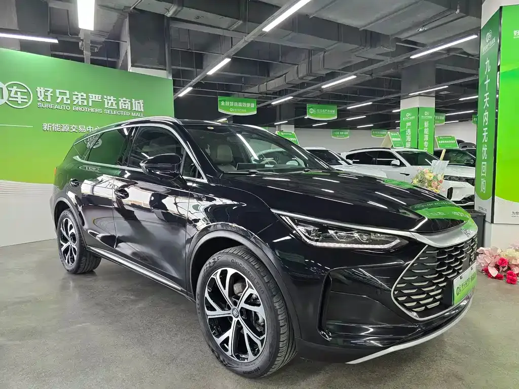 BYD Tang New Energy 2024 из CN, фото 3