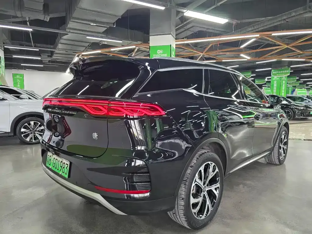 BYD Tang New Energy 2024 из CN, фото 4