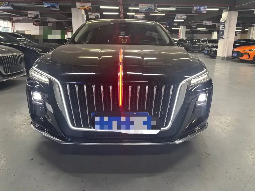 Hongqi H5 2024 из CN, фото 2