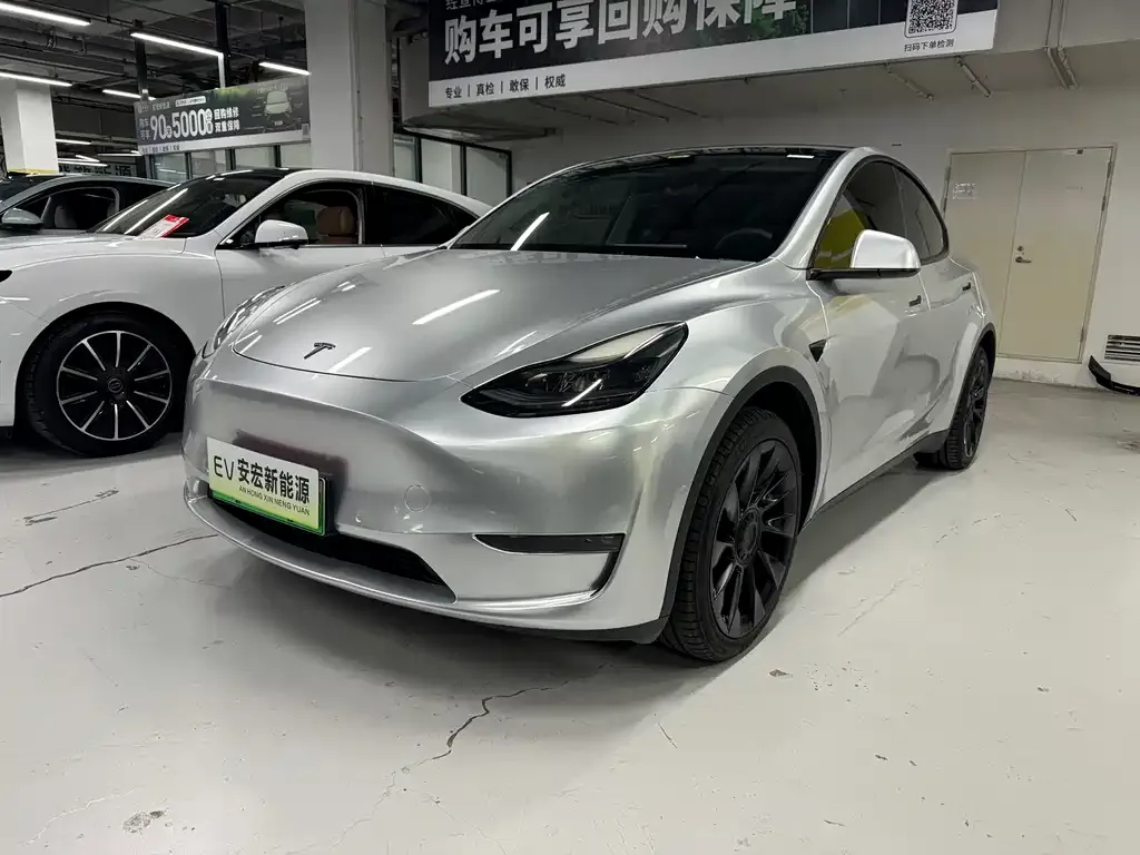 Tesla Model Y 2021 из CN, фото 1