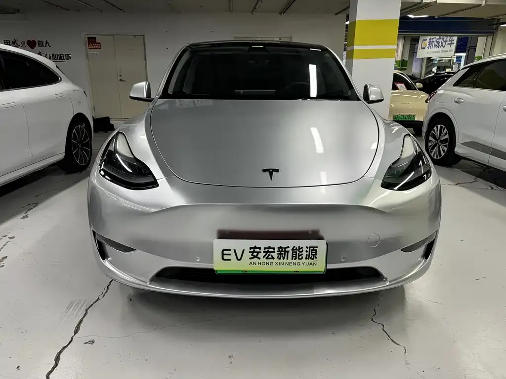 Tesla Model Y 2021 из CN, фото 2